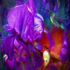 Схема вышивки «ирисы»