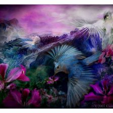 Схема вышивки «птицы»