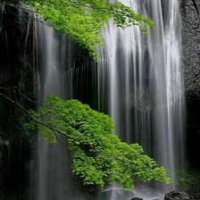 Схема вышивки «№727909»