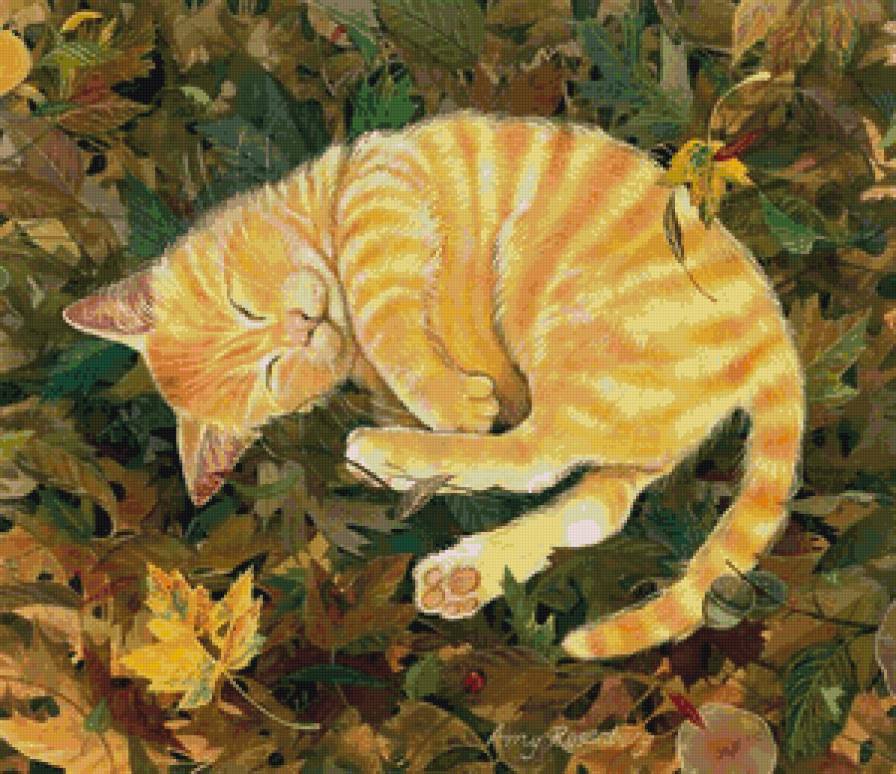 соня - кот, котики, спящие, коты - предпросмотр