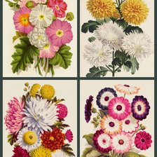 Букетики 16.