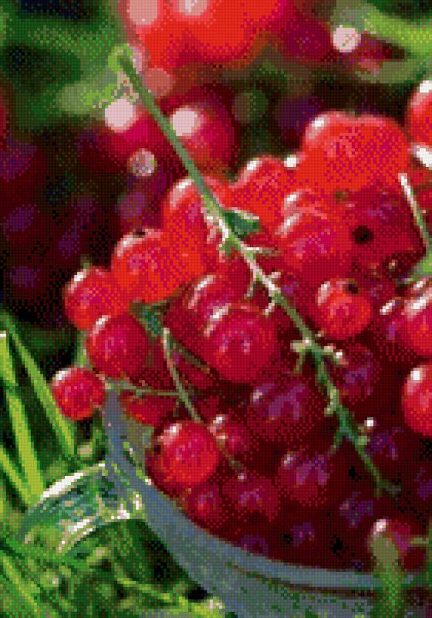 красная смородинка - красная смородинка - предпросмотр