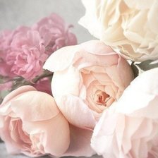 Схема вышивки «пионы»