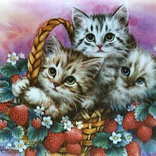 серия ,,кошки