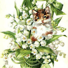 серия ,,кошки