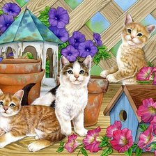 серия ,,кошки