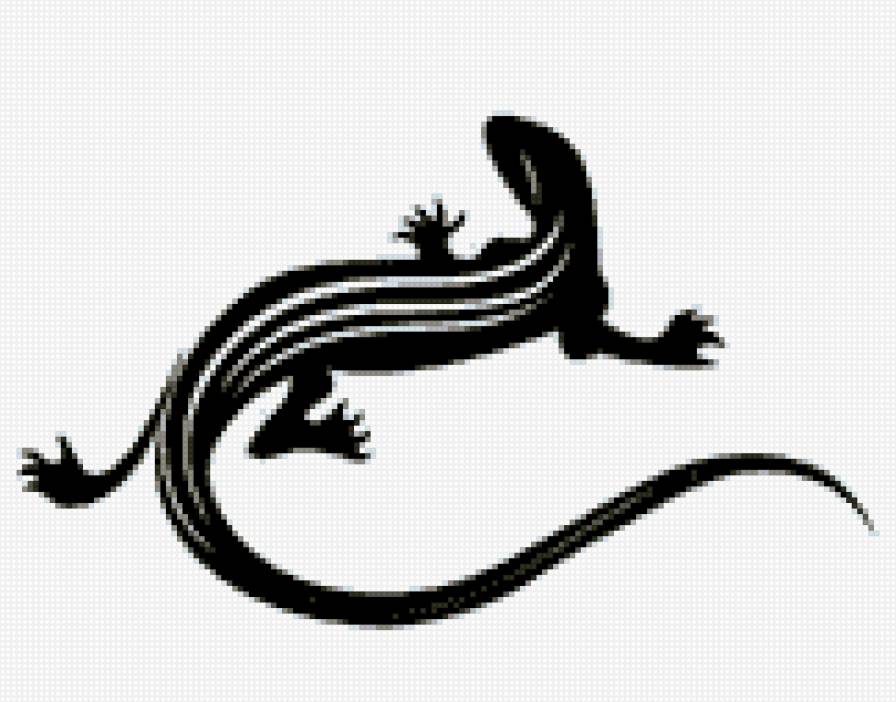 Ящерка - животные, ящерица - предпросмотр