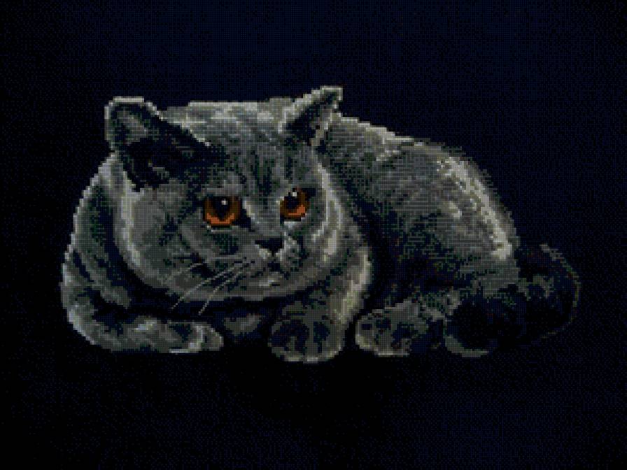 кот - предпросмотр