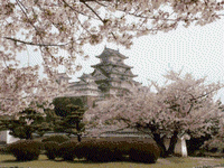 Второй храм на скале "Aml Pages" - предпросмотр