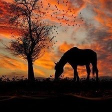 Схема вышивки «закат»