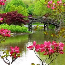 Схема вышивки «природа»