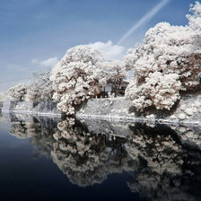 Схема вышивки «Япония»