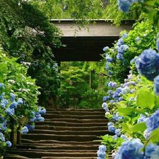 Схема вышивки «Япония 2»