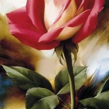 Схема вышивки «роза»