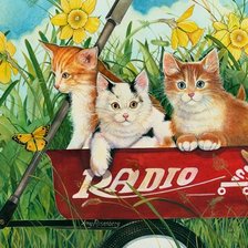 на прогулке