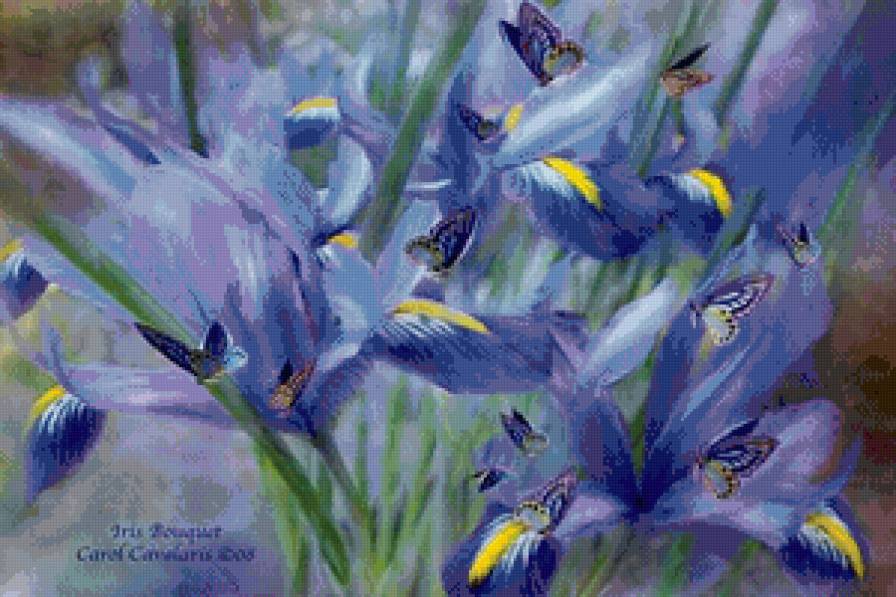 ирисы и бабочки - ирисы, бабочки - предпросмотр