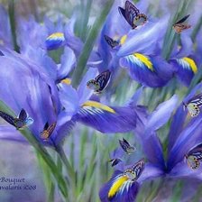 Схема вышивки «ирисы и бабочки»