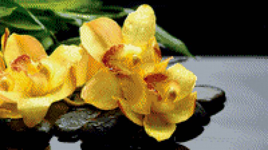 №729253 - предпросмотр