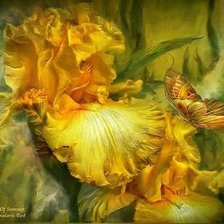 Схема вышивки «ирисы и бабочки»