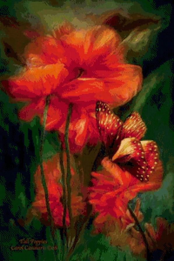 маки и бабочка - цветы, маки, бабочка - предпросмотр