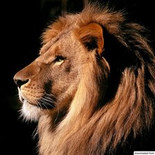 Схема вышивки «ktd»