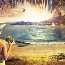 Схема вышивки «brazil»