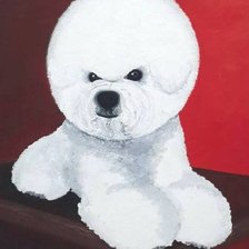 Схема вышивки «порода собак: бишон фризе»