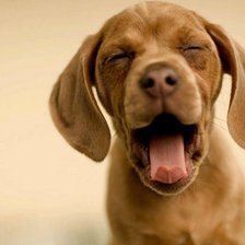 Схема вышивки «Песик»