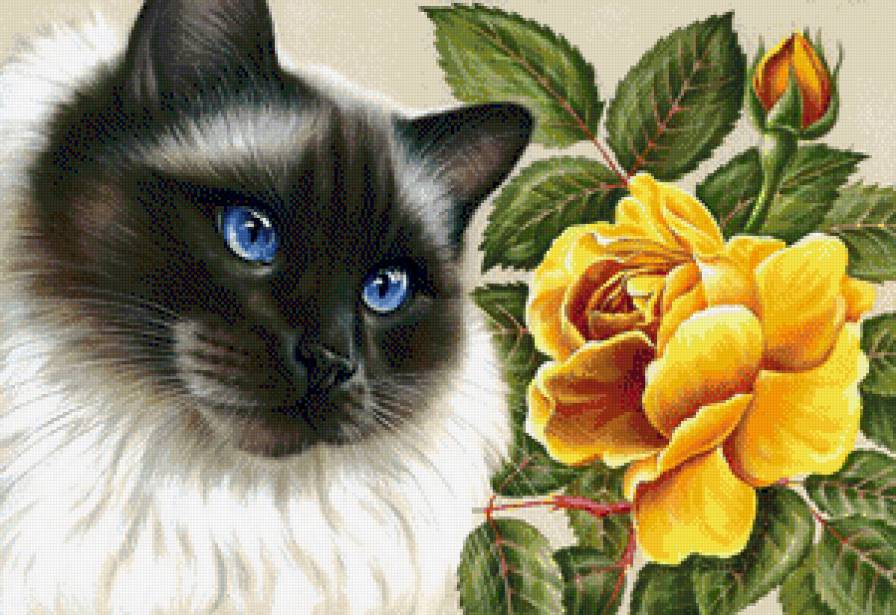 №729754 - предпросмотр