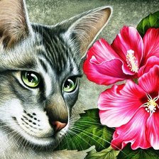 Схема вышивки «№729757»