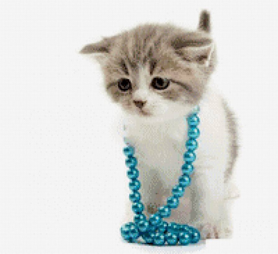 Котейка - животные, коты - предпросмотр