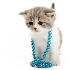 Схема вышивки «Котейка»