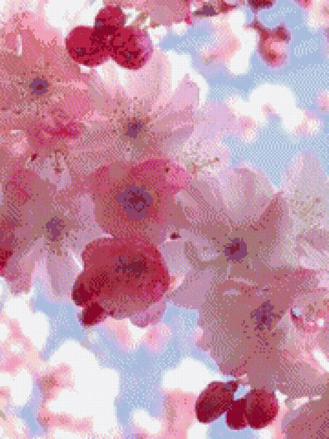 весенние цветы - весна, цветы - предпросмотр