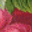 Предпросмотр схемы вышивки «Розы» (№729793)