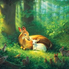 картины Kirk Reinert