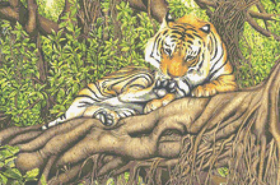 Тигр - животные, тигр, дикие кошки - предпросмотр