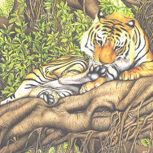 Схема вышивки «Тигр»