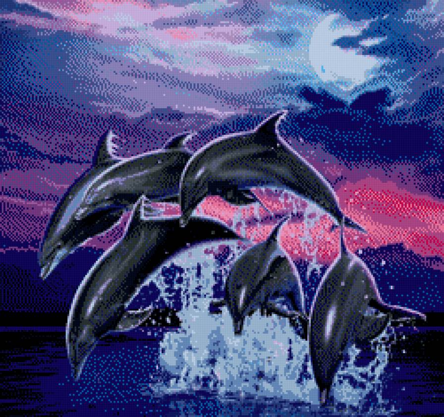 дельфины 3 - предпросмотр