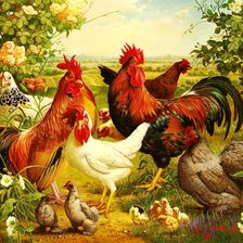 птичий двор