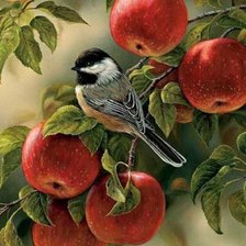 Схема вышивки «Синичка»