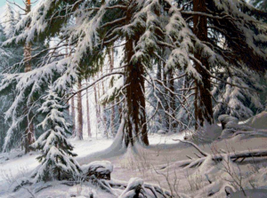 зимний лес - пейзаж, лес, снег, зима - предпросмотр