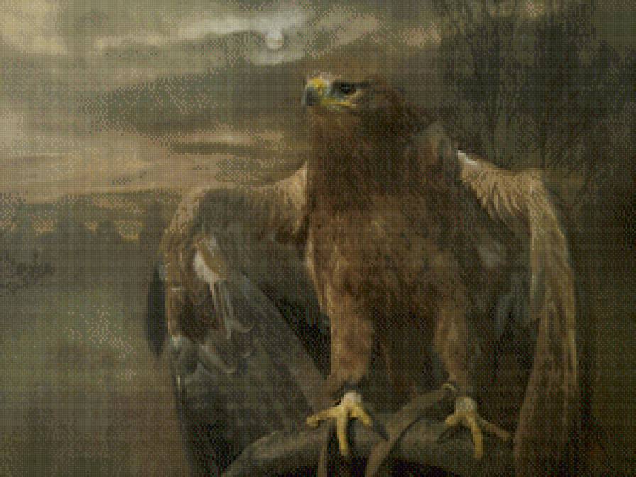 орёл - орел, птицы - предпросмотр