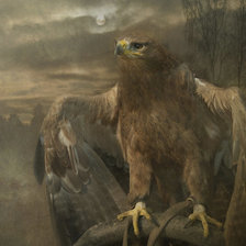 Схема вышивки «орёл»