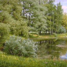 лесное озеро