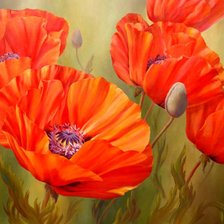 Схема вышивки «маки»