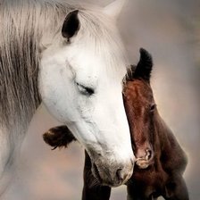 Схема вышивки «Забота»