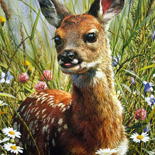 Схема вышивки «оленёнок»