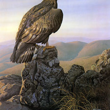 Схема вышивки «орёл»