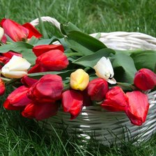 Схема вышивки «Тюльпаны в корзине»