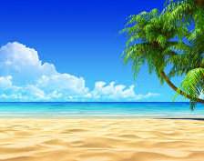 Схема вышивки «пальмы»